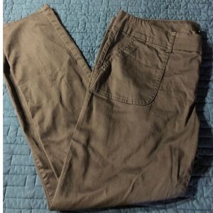 Torrid pants